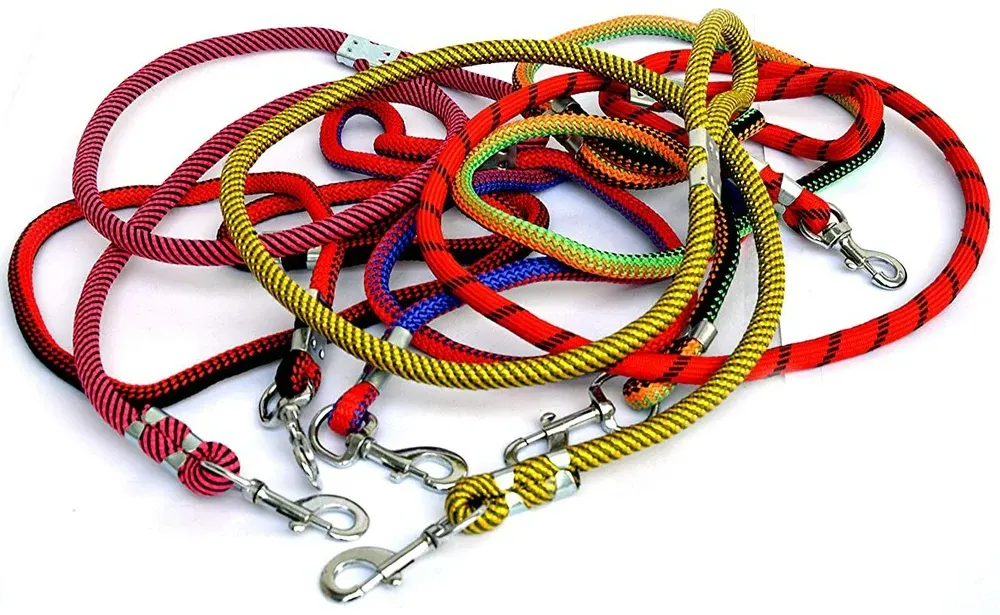 Heavy-Duty All-in-One Slip Lead & Collar – Training Walking Leash for Dogs - Image 3