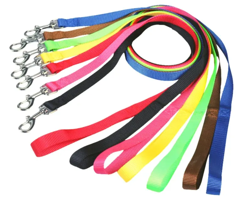 Heavy-Duty All-in-One Slip Lead & Collar – Training Walking Leash for Dogs - Image 2