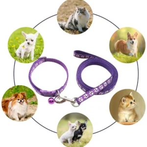 Heavy Duty Leash & Collar Set for Dogs