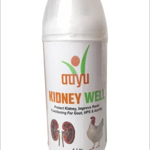 KIDNEY WELL Liquid – Nephrotonic & Kidney Flusher (1L) for Poultry | Prevents Visceral Gout & Expels Uric Acid