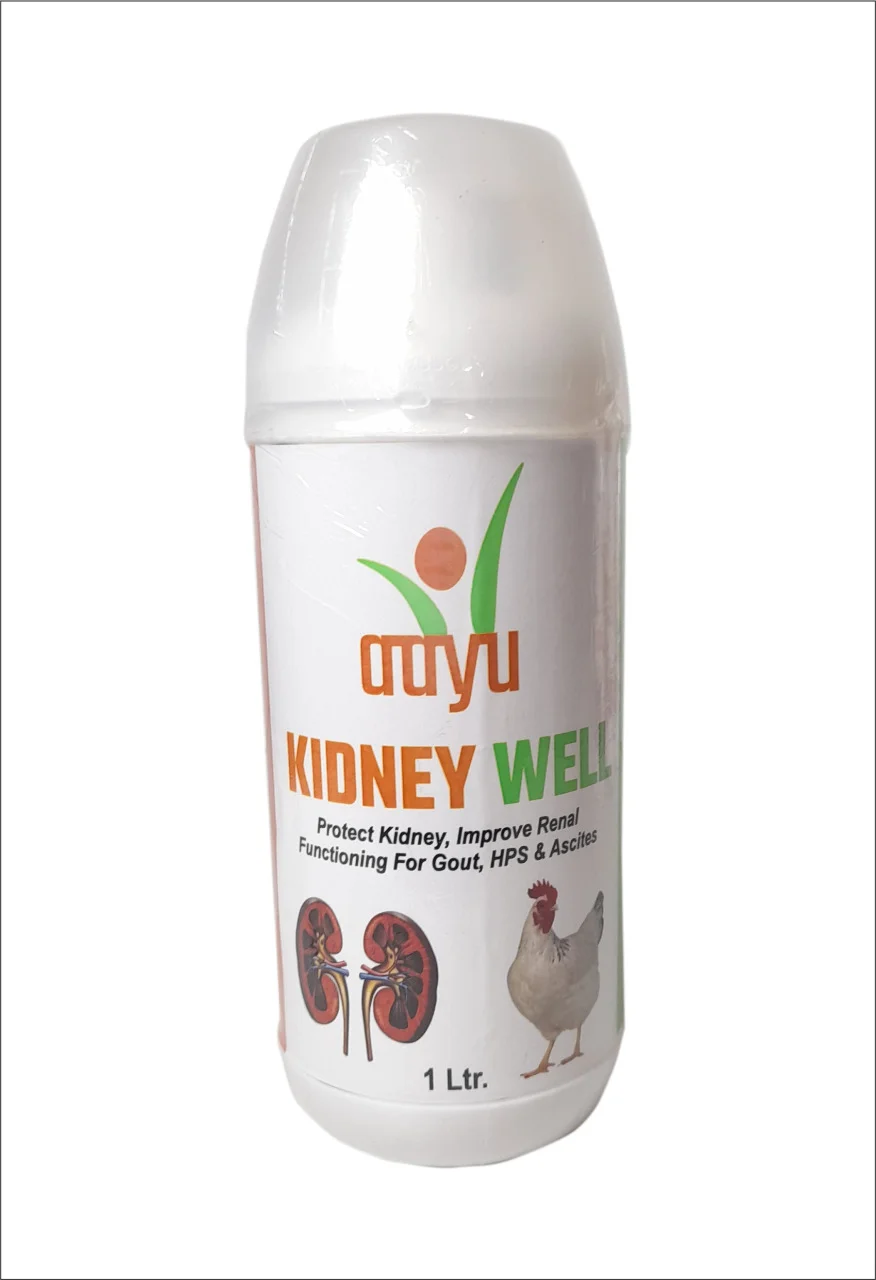KIDNEY WELL Liquid – Nephrotonic & Kidney Flusher (1L) for Poultry | Prevents Visceral Gout & Expels Uric Acid