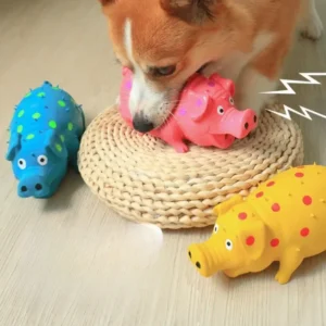 Laughing Pig Sound Squeaky Latex Dog Toy – Interactive Grunting Chew Toy