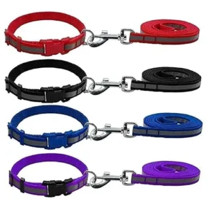 Leash & Collar Set for Dogs – Durable Everyday Walking Set