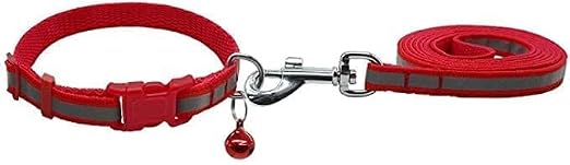 Leash & Collar Set for Small Dogs & Cats – Matching Walking Set - Image 5