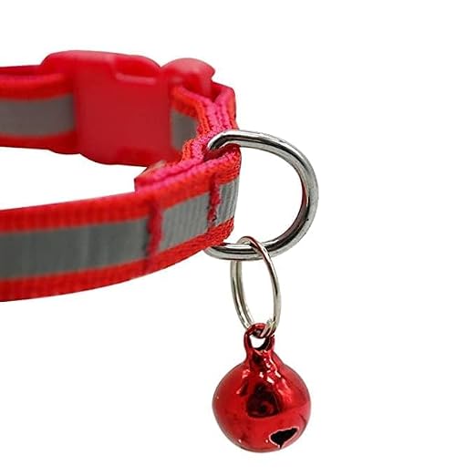 Leash & Collar Set for Small Dogs & Cats – Matching Walking Set - Image 4
