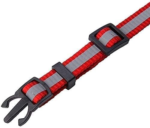 Leash & Collar Set for Small Dogs & Cats – Matching Walking Set - Image 2
