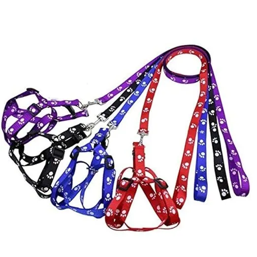 Pet Harness & Leash Set for Cats & Small Dogs – Adjustable Step-In Harness