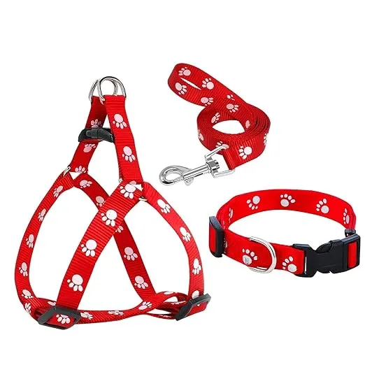 Pet Harness & Leash Set for Cats & Small Dogs – Adjustable Step-In Harness - Image 2