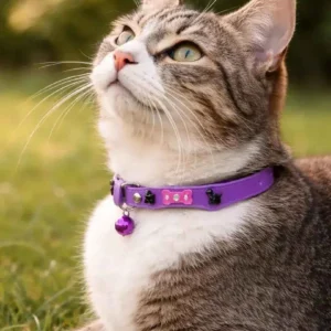 Rubber Waterproof Collar for Dogs – Easy Clean Weatherproof Collar