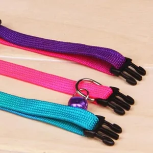 Standard Collar for Dogs & Cats – Lightweight Adjustable Nylon Collar