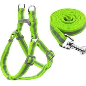 Step-In Harness & Leash Kit – Soft Webbing Walking Set for Small Dogs