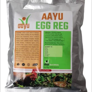 AAYU EGG REG Powder – Egg Production & Livability Optimizer (1kg) for Layers | Enhances Laying Persistency & Shell Quality