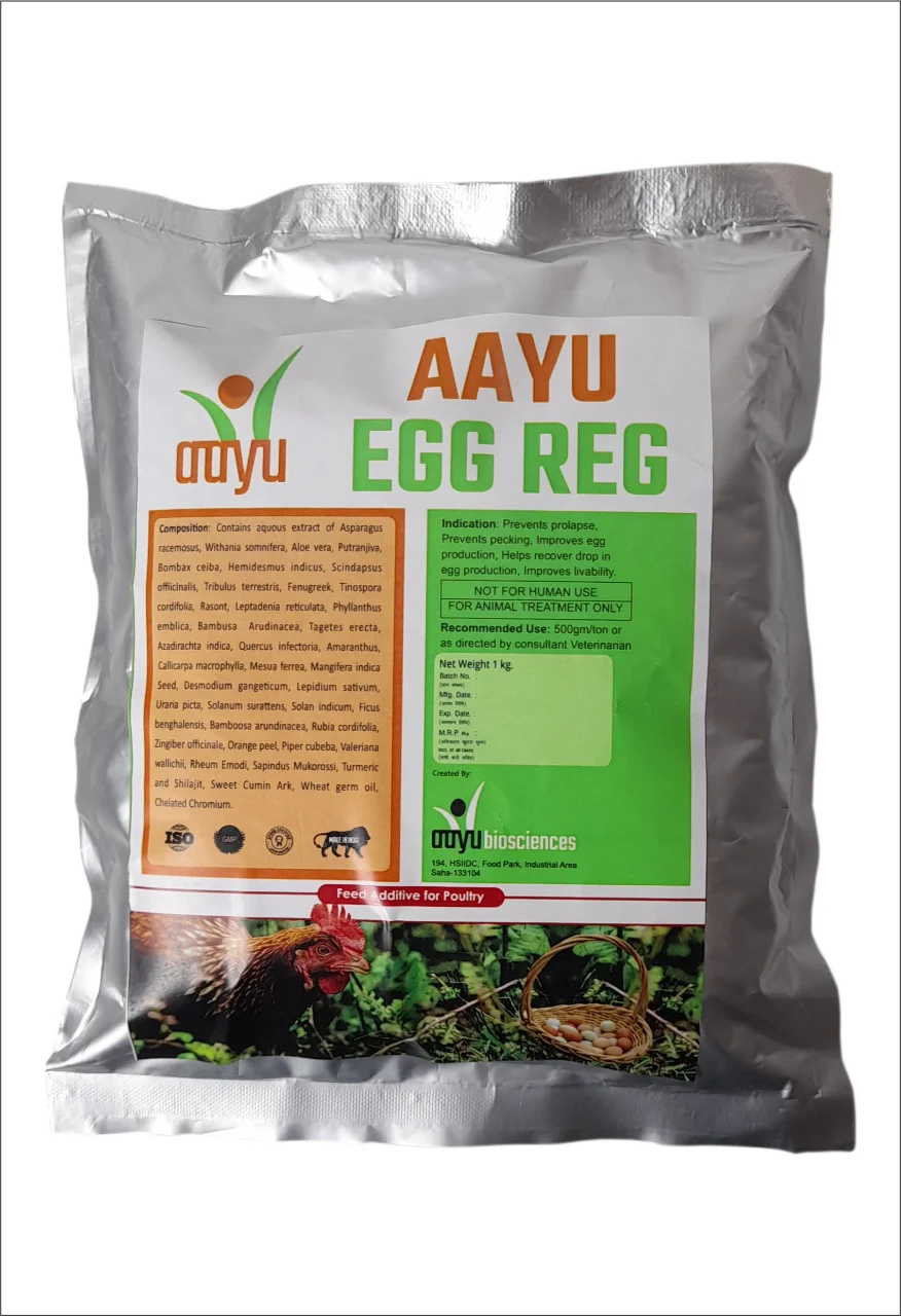AAYU EGG REG Powder – Egg Production & Livability Optimizer (1kg) for Layers | Enhances Laying Persistency & Shell Quality