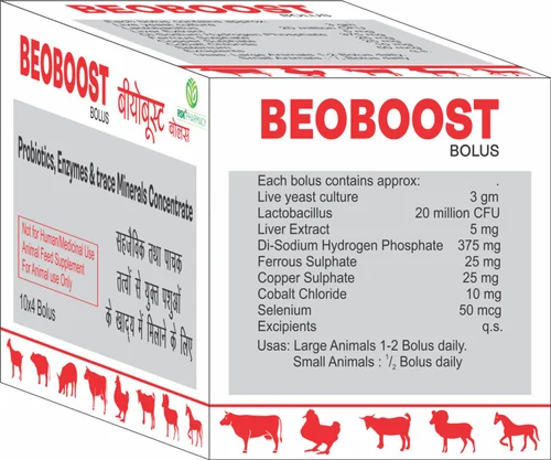 BEOBOOST Bolus – Digestive Bolus with Live Yeast (10x4 Bolus) for Cattle | Stabilizes Intestinal Flora & Enhances Appetite - Image 4