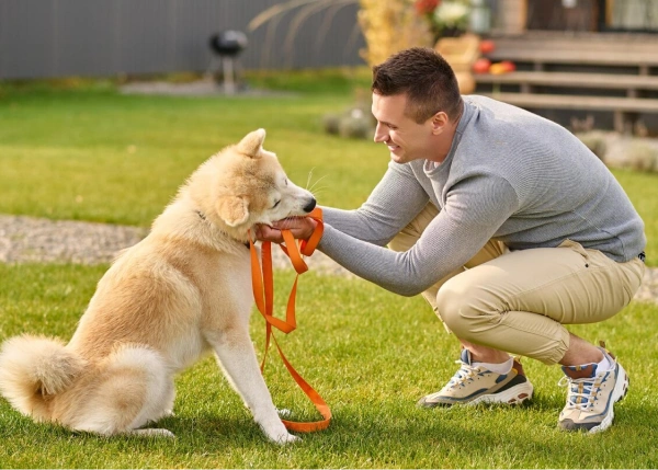Puppy Training