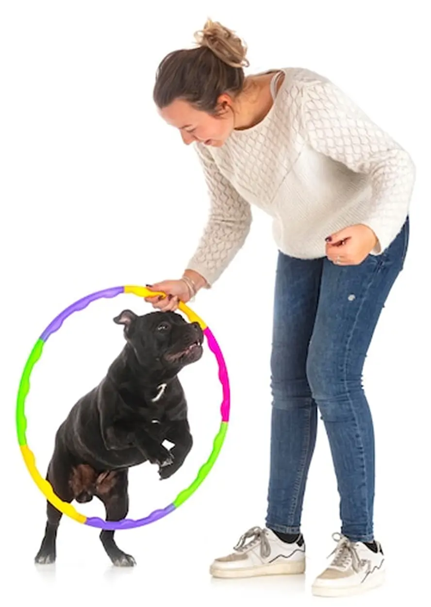 Certified Dog Trainer