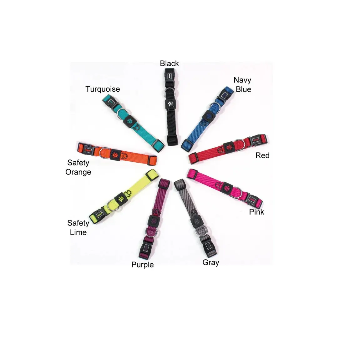 Premium Imported Webbing Collar for Small & Medium Dogs - Image 2