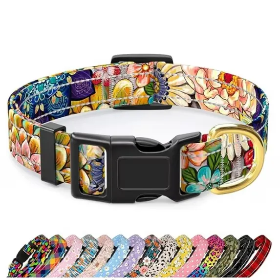 Premium Imported Webbing Collar for Small & Medium Dogs