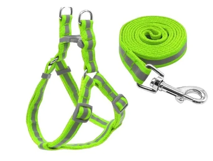 Adjustable Dog Harness & Leash Kit – Sturdy Everyday Walking Harness