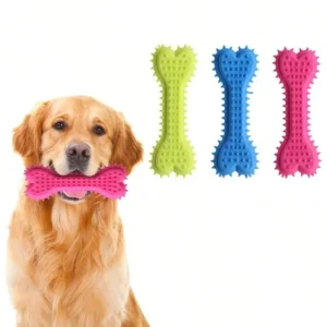 Classic Bone Squeaky Dog Chew Toy – Tough Rubber Teething Bone