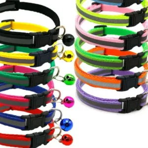 Classic Solid Adjustable Pet Collar – Durable Everyday Neckband for Dogs & Cats