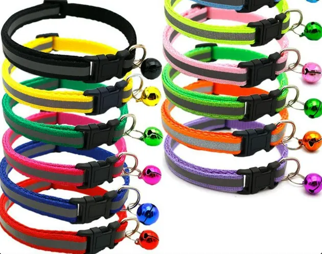 Classic Solid Adjustable Pet Collar – Durable Everyday Neckband for Dogs & Cats