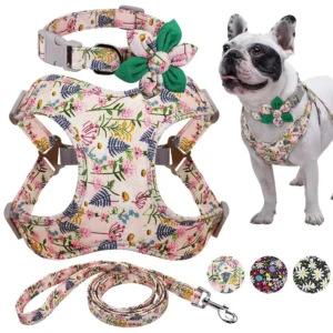 Comfort Fit Dog Harness & Leash Set – Lightweight Step-In Harness