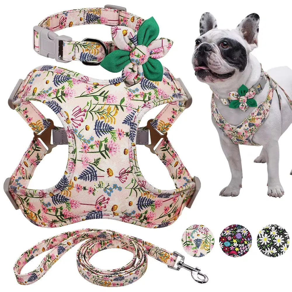 Comfort Fit Dog Harness & Leash Set – Lightweight Step-In Harness