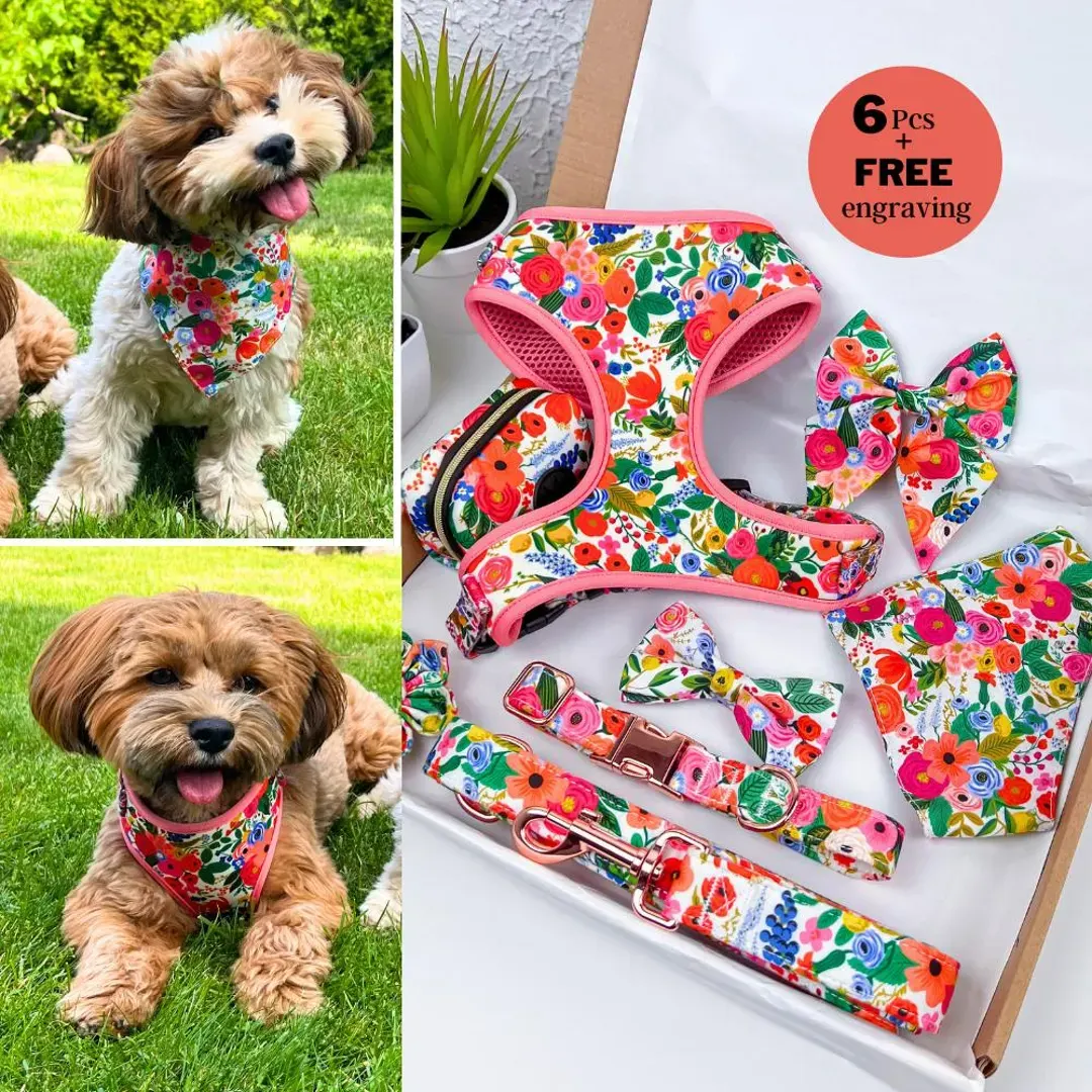 Comfort Fit Dog Harness & Leash Set – Lightweight Step-In Harness - Image 2