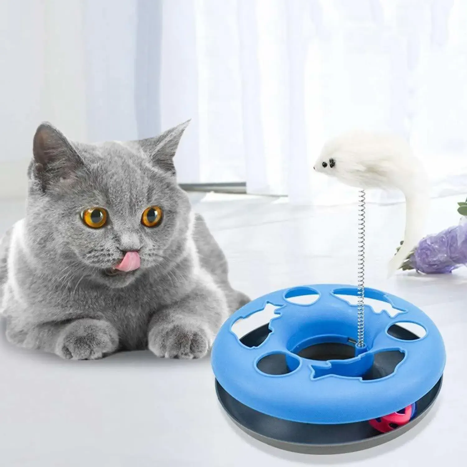 Crazy Game Disc Interactive Puzzle Toy – Mental Stimulation Treat Wheel