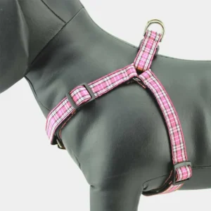 Escape-Proof Adjustable Cat Harness & Leash Set – Soft Breathable Mesh Harness