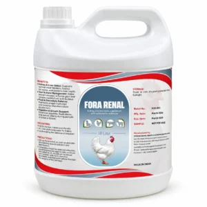 Fora Renal Liquid 10LTR – Herbal Kidney Care & Renal Detoxifier Supplement