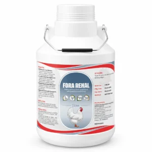 Fora Renal Liquid 2LTR – Herbal Kidney Care & Renal Detoxifier Supplement