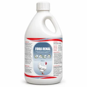 Fora Renal Liquid 500ML – Herbal Kidney Care & Renal Detoxifier Supplement