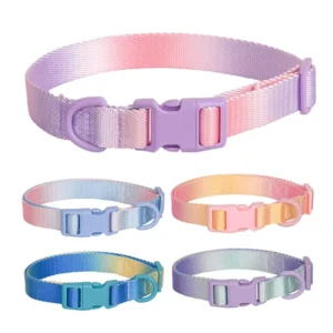 Durable Nylon Dog Collar – Padded Everyday Collar for Medium Dogs