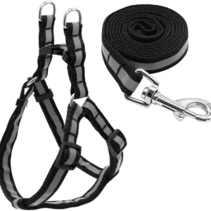 High-Visibility Luminous Radium Harness – Glow in the Dark Night Safety Harness