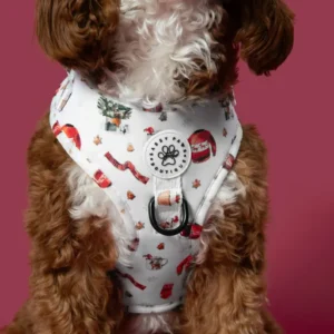 Padded Dog Harness & Lead Combo – Extra Strong Control Harness