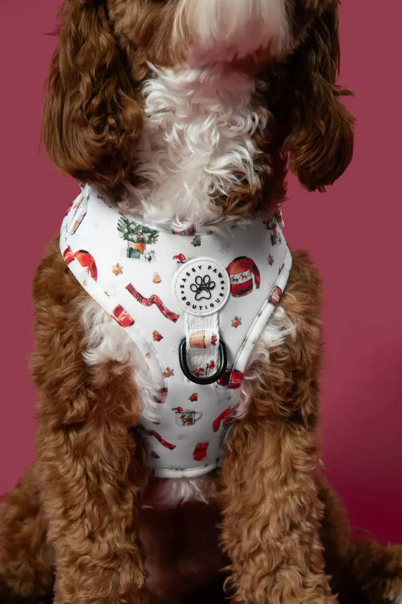 Padded Dog Harness & Lead Combo – Extra Strong Control Harness