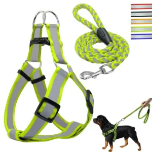 Step-In Dog Harness & Leash Set – Strong Nylon Walking Kit