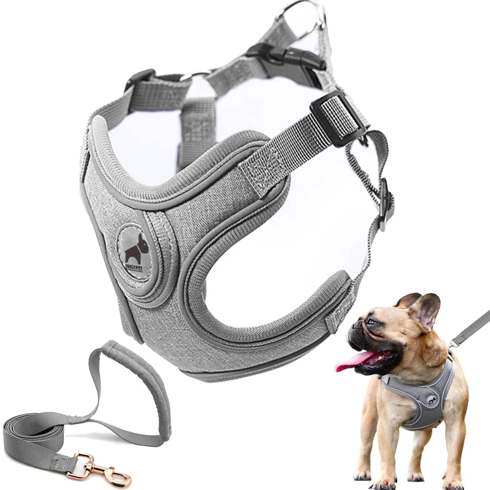 Step-In Dog Harness & Leash Set – Strong Nylon Walking Kit - Image 4