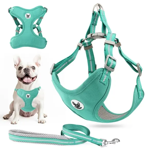Step-In Dog Harness & Leash Set – Strong Nylon Walking Kit - Image 2