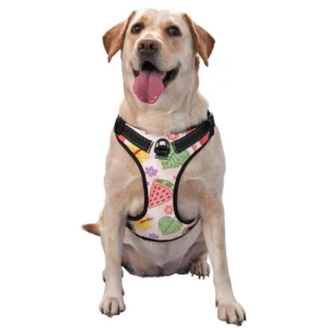 Multi-Size No-Pull Dog Harness & Leash Set – Breathable Mesh Walking Harness