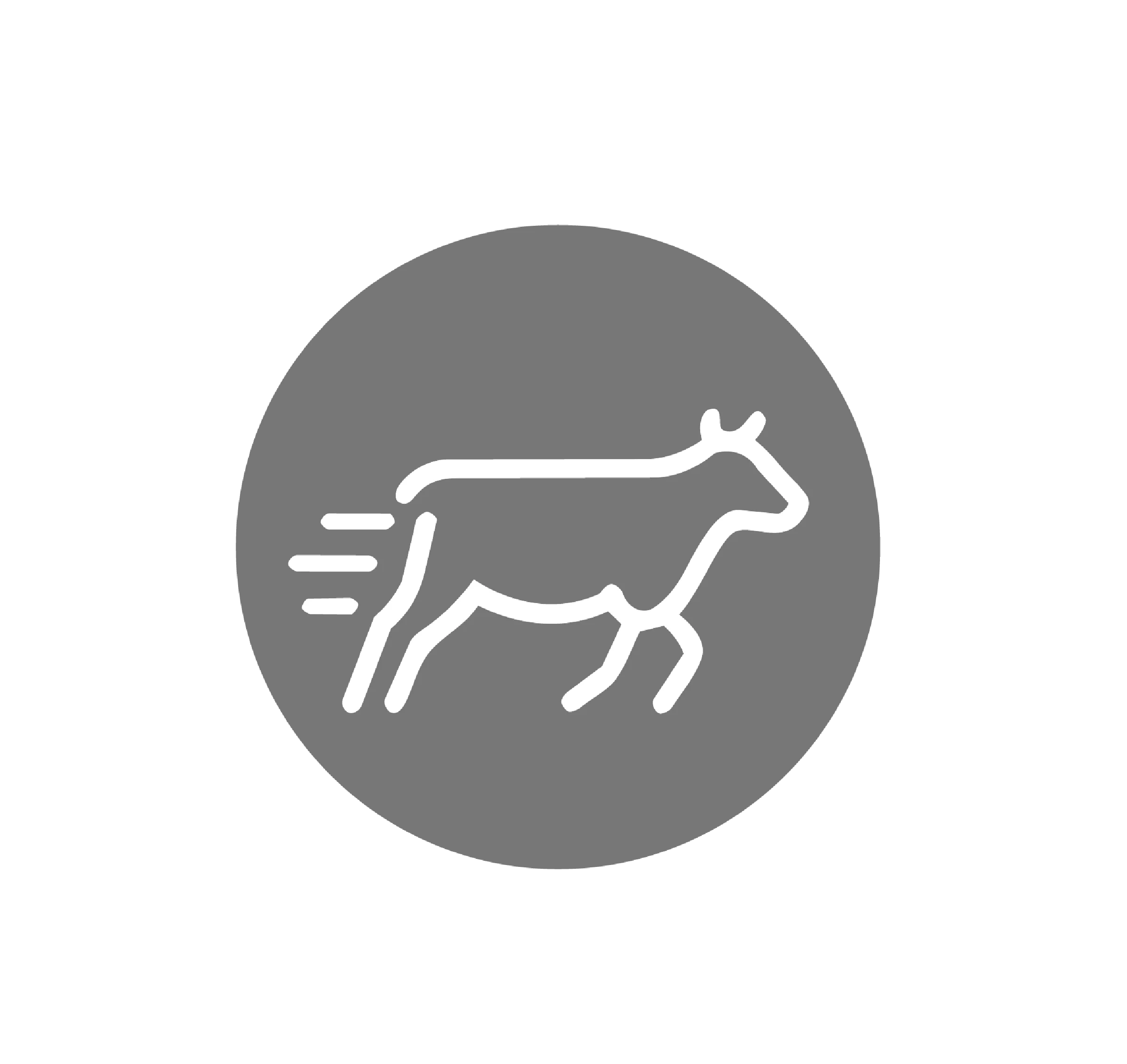 Activity Icon